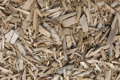 biomass boilers East Stratton